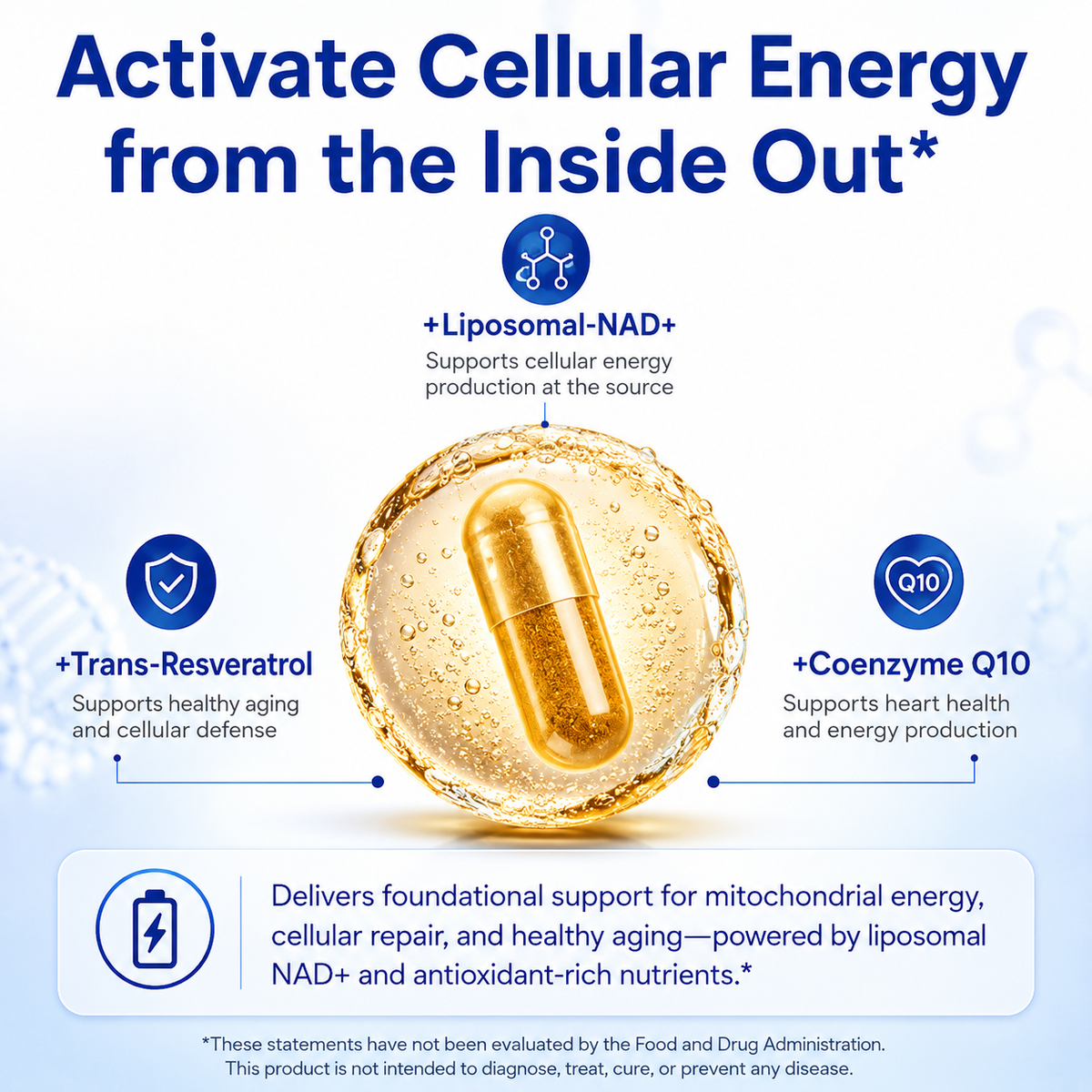 PrimeCell - Herbal NAD+ Capsules