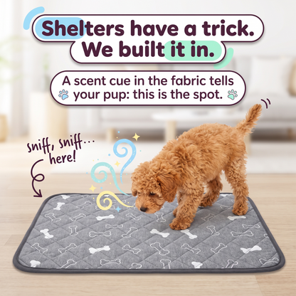 Vena Pup pads
